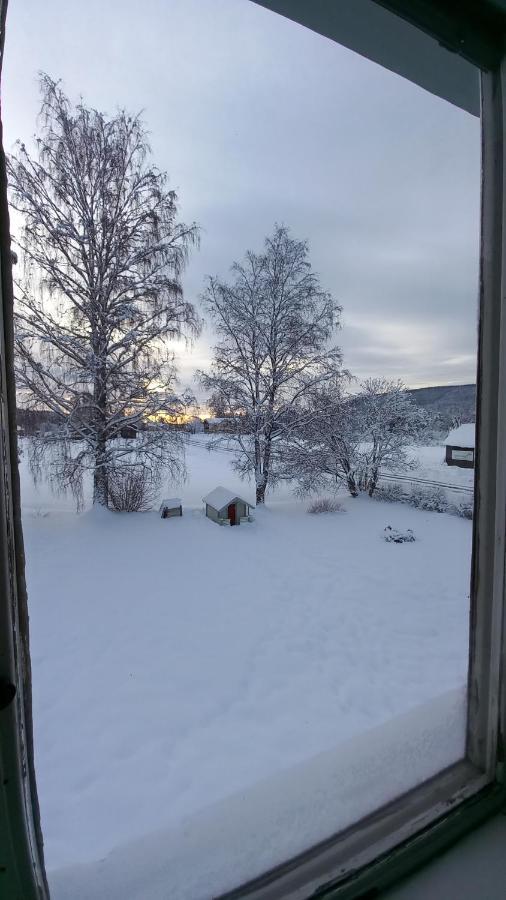 Guestrooms At Forest Family Home Ytterhogdal Exterior foto