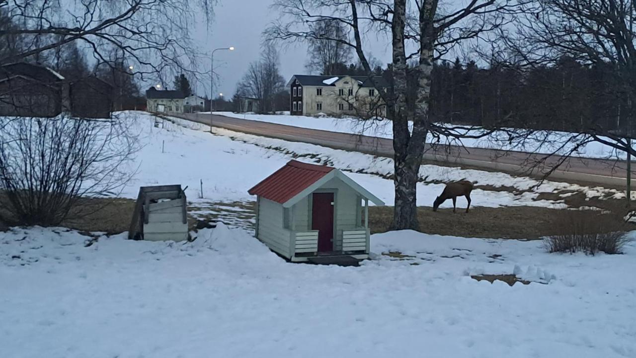 Guestrooms At Forest Family Home Ytterhogdal Exterior foto